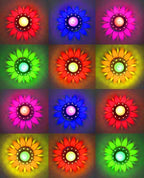 3D Reflection Rangoli Diya (Reusable)